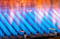 Dalton Piercy gas fired boilers